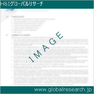 グローバルリサーチ調査レポートのイメージ